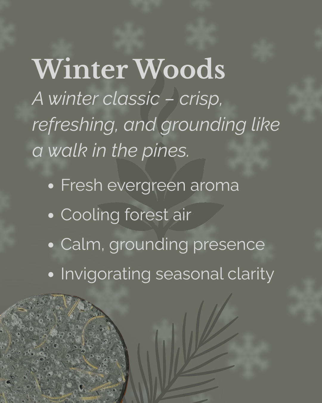 Winter Woods